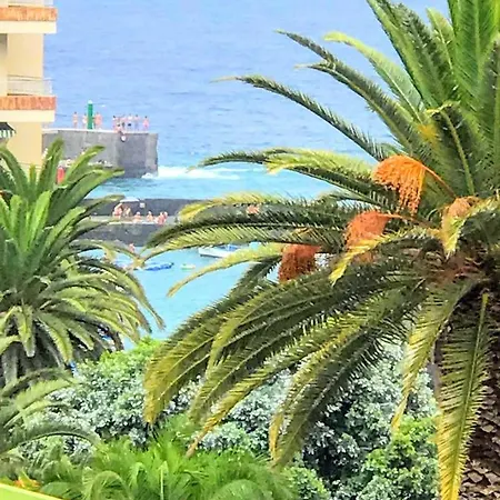 Studio Puerto De La Cruz Apartamento
